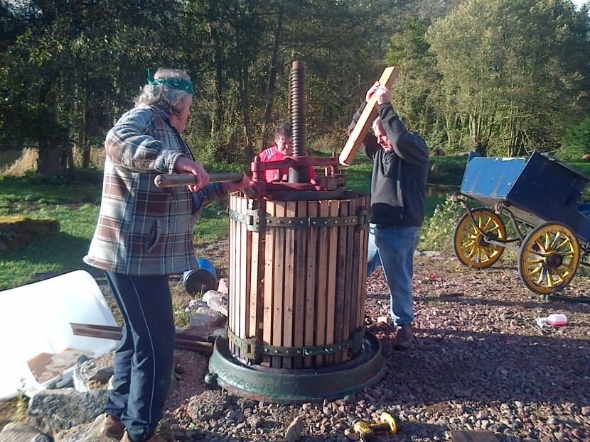 Cider pressing